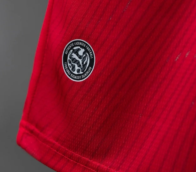 Switzerland 2026 Home Kit