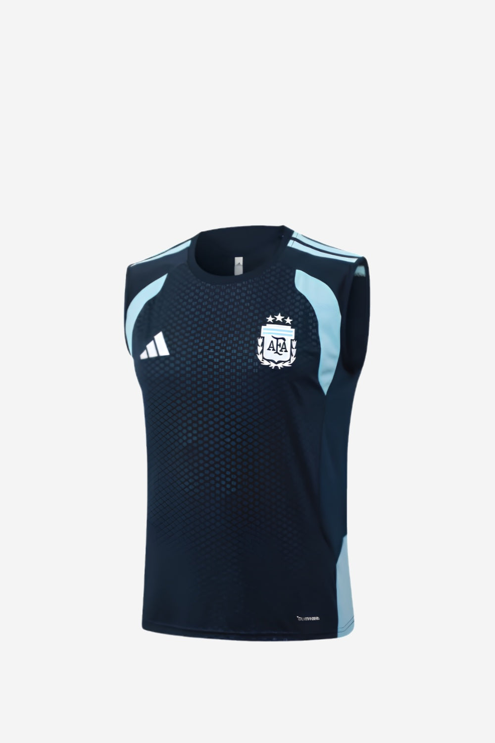 Argentina Sapphire Blue Sleeveless Set