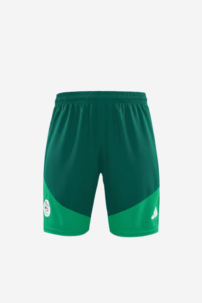 Algeria Green Sleeveless Set