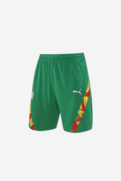 Senegal Green Sleeveless Set